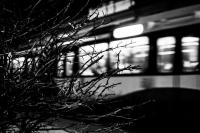 Imagine atasata: Tramvai-3_resize.jpg